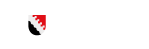 Joensuu-logo